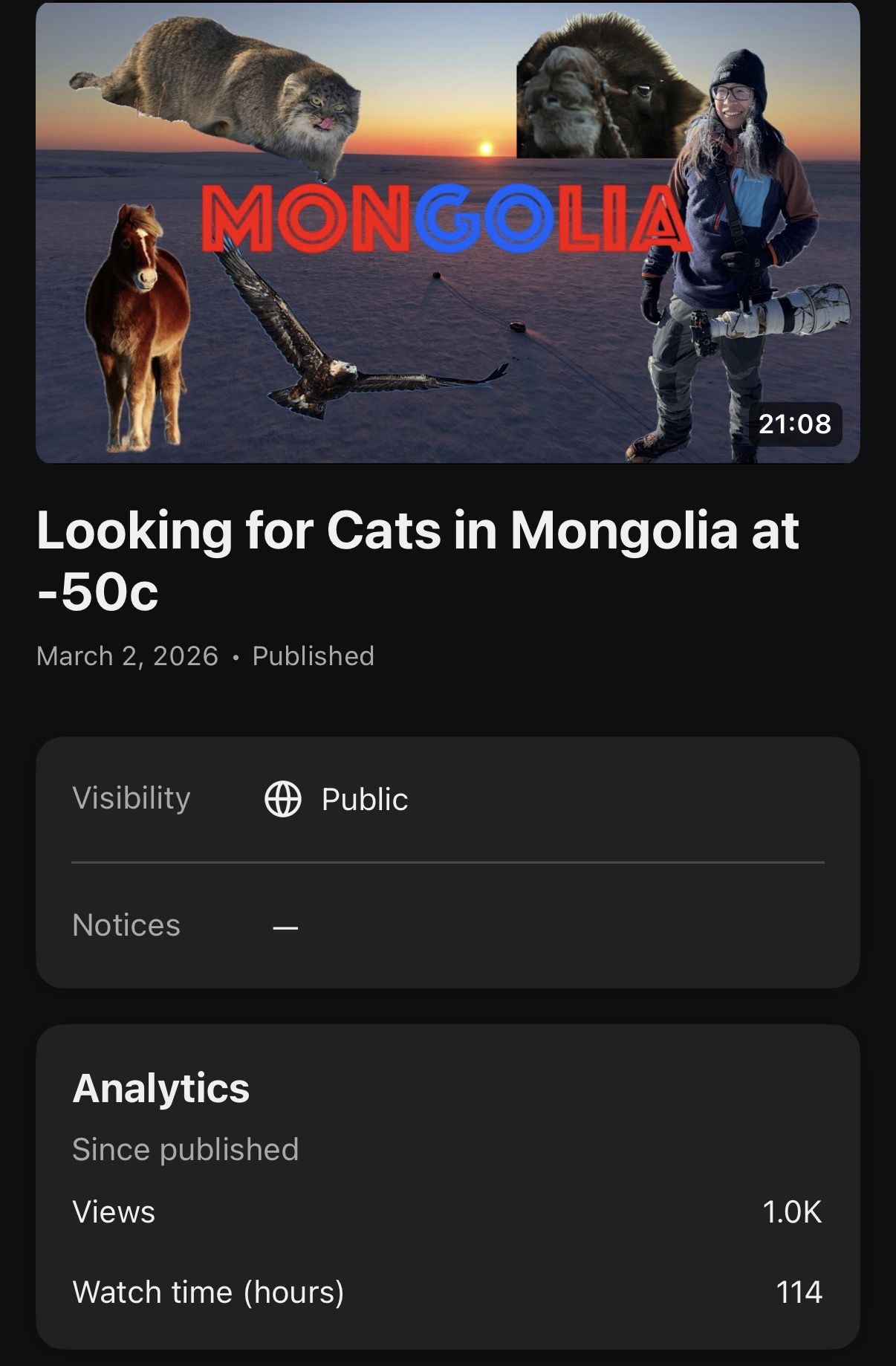 A screenshot of my YouTube analytics page showing a milestone one of my videos just hit - crossing 1k views